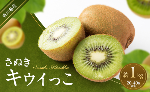 さぬきキウイっこ 約1kg キウイ キウイフルーツ フルーツ 果物 くだもの 果実 旬の果物 旬のフルーツ 香川 香川県 東かがわ市 2566498 - 香川県東かがわ市