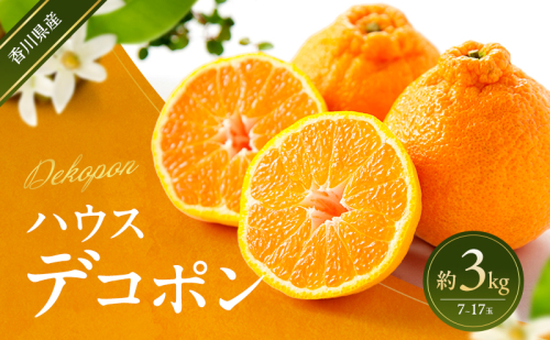 ハウスデコポン 約3kg デコポン でこぽん 柑橘 フルーツ 果物 くだもの 果実 旬の果物 旬のフルーツ 香川 香川県 東かがわ市 2566501 - 香川県東かがわ市