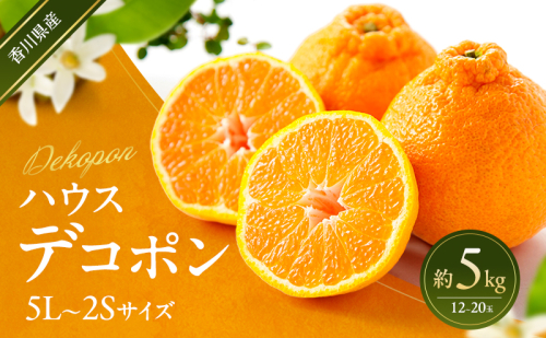 ハウスデコポン 約5kg デコポン でこぽん 柑橘 フルーツ 果物 くだもの 果実 旬の果物 旬のフルーツ 香川 香川県 東かがわ市 2566502 - 香川県東かがわ市