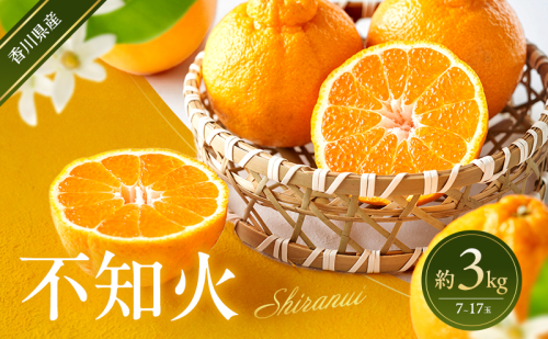 不知火 約3kg 蜜柑 みかん ミカン 柑橘 フルーツ 果物 くだもの 果実 旬の果物 旬のフルーツ 香川 香川県 東かがわ市 2566503 - 香川県東かがわ市