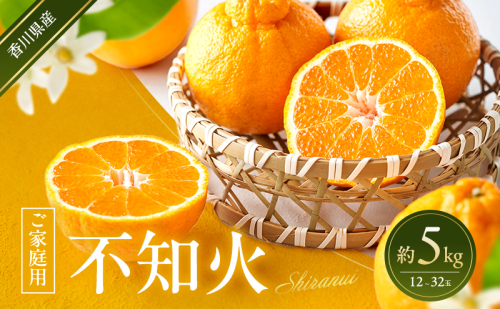 不知火 【ご家庭用】 約5kg 蜜柑 みかん ミカン 柑橘 フルーツ 果物 くだもの 果実 旬の果物 旬のフルーツ 香川 香川県 東かがわ市 2566504 - 香川県東かがわ市