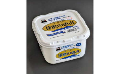 ヨーグルト もっちり、とろ～りの2つに食感！　球磨の恵みヨーグルト ( 加糖タイプ ) 3kg 【配送不可：沖縄県、離島】 2566551 - 熊本県錦町