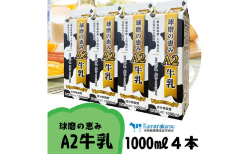 牛乳 お腹にもやさしいA2ミルク！球磨人吉産 球磨の恵み A2牛乳 4本パック ミルク  【配送不可：沖縄県、離島】 2566553 - 熊本県錦町