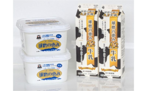 牛乳 ヨーグルト 球磨の恵み お腹にもやさしいA2ミルクとヨーグルト加糖 セット ミルク 牛乳2本 ヨーグルト2個【配送不可：沖縄県、離島】 2566554 - 熊本県錦町