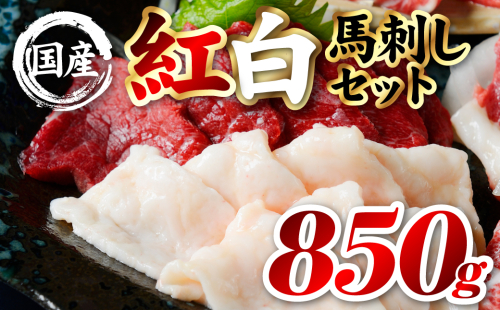 国産 熊本肥育 紅白馬刺しセット 合計850g （赤身700g・コウネ150g） 馬肉 赤身 コウネ たてがみ 刺し身 刺身 新鮮 ヘルシー おつまみ 晩酌 贈り物 真空パック ブロック 冷凍 熊本県 八代市 2566557 - 熊本県八代市
