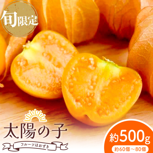 【2026年発送 先行予約】フルーツ ほおずき 太陽の子 約500g のざわ農園《9月上旬-10月末頃出荷》北海道 日高町 希少 ホオズキ 2566730 - 北海道日高町