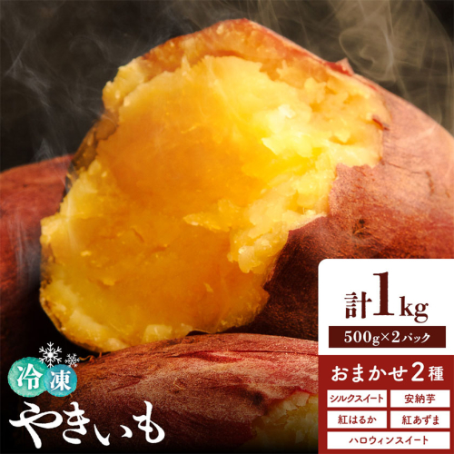 冷凍焼きいも 約1キロ 《90日以内に出荷予定(土日祝除く)》のざわ農園 真空パック 詰め合わせ 品種ランダム 2品種 シルクスイート 安納芋 ベニアズマ 紅はるか ハロウィンスイート 北海道 日高町 2566735 - 北海道日高町