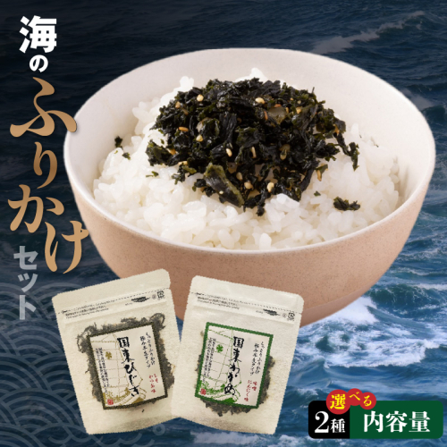 【選べる内容】＼雑誌で紹介／ご飯が進む海のふりかけ 半生 ソフト わかめ ひじき_2515R 2566897 - 大分県国東市