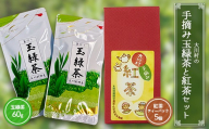 大川村の手摘み玉緑茶と紅茶セット（玉緑茶60g・紅茶ティーパック）お茶 緑茶 紅茶 セット 茶葉 飲み比べ F6R-133