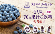 ブルーベリーゼリー90g×5個と70%果汁入り飲料（無糖）170ml×5本セット　【福島県三春町　かおるブルーベリー園産使用】　【07521-0147】
