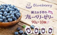ブルーベリーゼリー90g×10個　【福島県三春町　かおるブルーベリー園産使用】　【07521-0148】