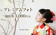 撮影 写真 撮影券 3,000円分 アルバム 贈り物 撮影プラン 記念写真 しゃしん チケット 写真 カメラ 家族 思い出 祖父 祖母 歴史 子ども キッズ 七五三 結婚式 成人式 記念撮影 家族写真 ロケーション 出張撮影 アニバーサリーフォト 出張カメラマン ギフト プレゼント 三好市