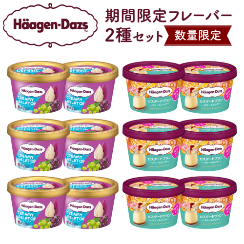 【数量限定】ハーゲンダッツ アイスクリーム ミニカップ 12個 （CREAMY GELATO 贅沢ぶどう＆カスタードプリン）アイス スイーツ デザート_H0016-168 2567872 - 北海道浜中町