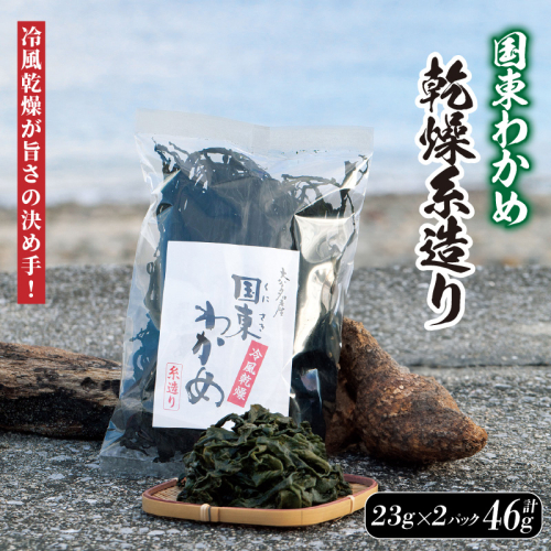 冷風乾燥が旨さの決め手！国東わかめ「乾燥糸造り」46g（23g×2袋）_0079N-1 2567933 - 大分県国東市