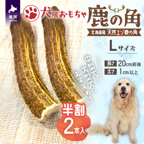 犬用「鹿の角(半割り)」Ｌサイズ×2本[53-1600] 2568085 - 北海道浦河町