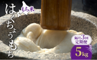 隔月3回 定期便 米 北海道 もち米 はくちょうもち 5kg (ホクレン米) 獲得 白米 お取り寄せ ごはん 道産米 ブランド米 5キロ お米 ご飯 米 北海道米 送料無料 北海道 芦別市 [№5342-0906]