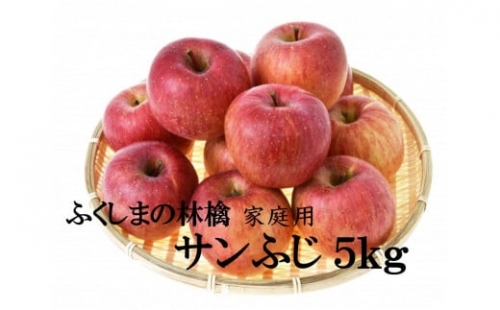 No.2065　【2022年度発送】りんご　サンふじ　家庭用約5kg　林檎　リンゴ