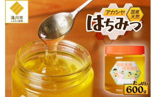 【北海道滝川産】高見養蜂場の純粋はちみつ(アカシヤ600g×1本)｜国産 日本製 天然 無添加 純粋 非加熱 生はちみつ ミツバチ ハニー 栄養 健康 美容 ビタミン ミネラル 抗生物質 プロポリス アミノ酸 濃厚 ギフト 贈答 2569016 - 北海道滝川市