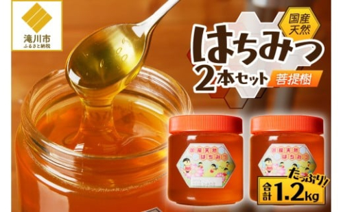 【北海道滝川産】高見養蜂場の純粋はちみつ(菩提樹、シナの木600g×2本)｜国産 日本製 天然 無添加 純粋 非加熱 生はちみつ ミツバチ ハニー 栄養 健康 美容 ビタミン ミネラル 抗生物質 プロポリス アミノ酸 濃厚 ギフト 贈答 2569017 - 北海道滝川市