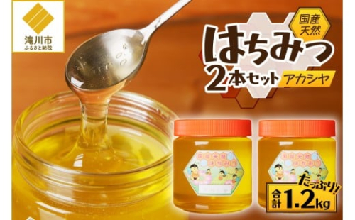 【北海道滝川産】高見養蜂場の純粋はちみつ(アカシヤ600g×2本)｜国産 日本製 天然 無添加 純粋 非加熱 生はちみつ ミツバチ ハニー 栄養 健康 美容 ビタミン ミネラル 抗生物質 プロポリス アミノ酸 濃厚 ギフト 贈答 2569019 - 北海道滝川市