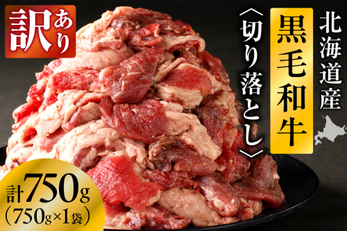 【訳あり】北海道産 黒毛和牛すじ切り落とし　750g×1袋｜北海道　国産　黒毛和牛　切り落とし　国産牛　お肉　牛肉　切落し　冷凍　小分け　パック　お取り寄せ　贅沢　おすすめ　送料無料　滝川市 2569049 - 北海道滝川市