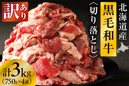 【訳あり】北海道産 黒毛和牛すじ切り落とし　750g×4袋｜北海道　国産　黒毛和牛　切り落とし　国産牛　お肉　牛肉　切落し　冷凍　小分け　パック　お取り寄せ　贅沢　おすすめ　送料無料　滝川市 2569051 - 北海道滝川市
