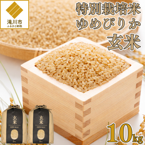 【特別栽培米】令和7年産 滝川産ゆめぴりか【玄米】10kg 特A ブランド米 北海道 | 米 こめ お米 単一米 2569123 - 北海道滝川市