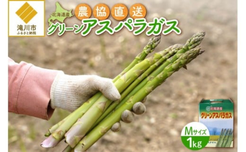 【2026年発送先行受付】北海道産グリーンアスパラ Mサイズ 1kg(500gx2袋) 産地直送 | 野菜 旬 とれたて お取り寄せ 小分け 保存 北海道 滝川市 2569194 - 北海道滝川市
