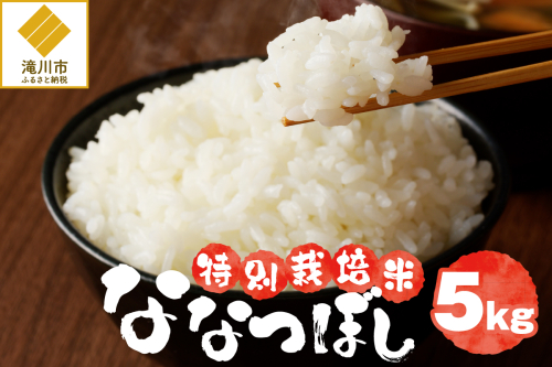 《令和7年産》特別栽培米ななつぼし 5kg | 16年連続特A ブランド米 白米 精米 米 お米 こめ 減農薬 単一原料米 ご飯 贈答 ギフト お試し 北海道米 北海道 滝川市 2569238 - 北海道滝川市