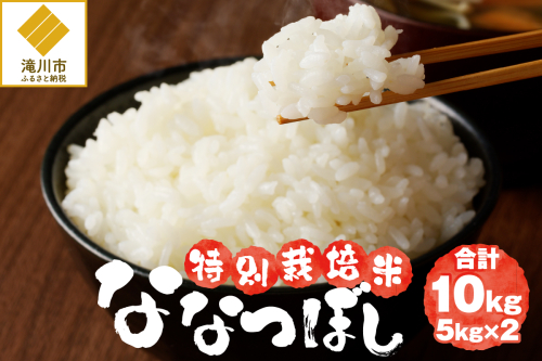 《令和7年産》特別栽培米ななつぼし 10kg | 16年連続特A ブランド米 白米 精米 米 お米 こめ 減農薬 単一原料米 ご飯 贈答 ギフト 北海道米 北海道 滝川市 2569242 - 北海道滝川市
