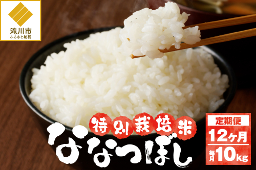 《令和7年産》特別栽培米ななつぼし 10kg×12ヵ月定期便 | 16年連続特A ブランド米 白米 精米 米 お米 こめ 減農薬 単一原料米 ご飯 北海道米 北海道 滝川市 2569243 - 北海道滝川市