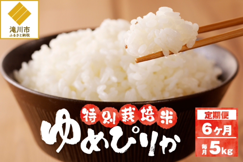 《令和7年産》特別栽培米ゆめぴりか 5kg×6ヵ月定期便 | 16年連続特A ブランド米 白米 精米 米 お米 こめ 減農薬 単一原料米 ご飯 北海道米 北海道 滝川市 2569249 - 北海道滝川市