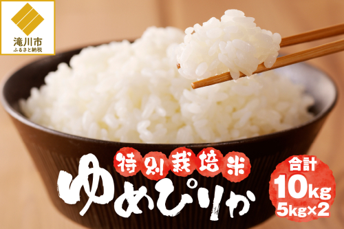 《令和7年産》特別栽培米ゆめぴりか 10kg | 16年連続特A ブランド米 白米 精米 米 お米 こめ 減農薬 単一原料米 ご飯 贈答 ギフト 北海道米 北海道 滝川市 2569250 - 北海道滝川市