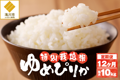 《令和7年産》特別栽培米ゆめぴりか 10kg×12ヵ月定期便 | 16年連続特A ブランド米 白米 精米 米 お米 こめ 減農薬 単一原料米 ご飯 北海道米 北海道 滝川市 2569251 - 北海道滝川市