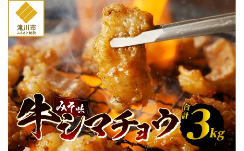 居酒屋さ蔵 牛シマチョウ300g×10袋 北海道 みそ 味噌 焼肉 ホルモン 濃厚 BBQ セット 2569259 - 北海道滝川市