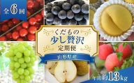 [令和8年産先行予約] [定期便6回] くだもの"少し贅沢"定期便 『南陽中央青果市場』 さくらんぼ ぶどう ピオーネ シャインマスカット 黄桃 きららの極み ラ・フランス りんご 山形県 南陽市 [1166-R8]