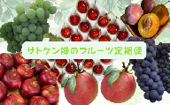 8-060-004　サトケン畑のフルーツ定期便