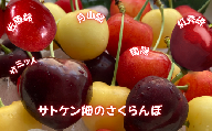 8-080-001　サトケン畑のさくらんぼ定期便