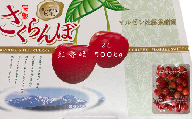 8-011-016　完熟さくらんぼ 紅秀峰（2L）500g　マルゼン佐藤果樹園