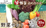 野菜セット（10種以上） ／ 野菜 季節の野菜 旬 新鮮 自慢の逸品 詰め合わせ 10種以上 新鮮 食材 野菜詰合せ サラダ用 炒め物用 千葉県 No.063
