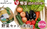 野菜セット（9～10種）+米3kg ／ 野菜 米 季節の野菜 旬 新鮮 コシヒカリ 精米 白米 自慢の逸品 千葉県 No.071