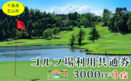 芝山町ゴルフ場利用券 3枚 / golf 芝山ゴルフ倶楽部 京カントリークラブ イーグルレイクゴルフクラブ 共通チケット アウトドア 施設利用券 スポーツ体験 千葉県 No.003