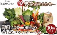 野菜セット10種以上＋米10kg＋古代米バウムクーヘン ／ 野菜 米 季節の野菜 旬 新鮮 コシヒカリ 精米 白米 スイーツ 洋菓子 バームクーヘン 自慢の逸品 千葉県 No.074