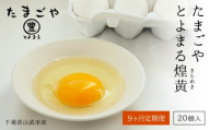 9ヶ月定期便 たまごやとよまる 煌黄20個 SMAS015