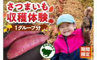 [期間限定]さつまいも収穫体験(1グループ分)|さつまいも狩り さつまいも堀り 収穫 さつまいも 紅はるか シルクスイート 栗かぐや 収穫体験 採れたて 焼き芋 石焼き芋 鈴木農園 愛知県 知多市