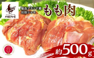 福島ブランド鶏 川俣シャモ モモ肉 約500g FAF-0144