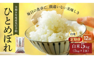 令和8年産 新米 ひとめぼれ 5kg 12ヵ月 定期便 先行予約 米 お米 白米 精米 こめ コメ 令和8年 宮城県産