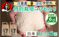【先行予約】【令和8年産 新米】【6ヶ月定期便】減農薬・減化学肥料の特別栽培コシヒカリ 白米 10kg（5kg×2袋）×6回 計60kg農家直送 福井県大野市産