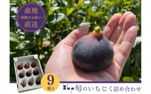 旬のいちじく詰め合わせ　 9個入り　果物 フルーツ 国産フルーツ イチジク ビオレドーフィン ビオレソリエス 産地直送 詰合せ 食べ比べ 千葉県 成田市 2570657 - 千葉県成田市