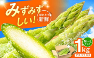 採れたてを直送！糸島野菜 アスパラガス 1kg (M-Lサイズ) 糸島市 / しろファーム 野菜 アスパラ [AHQ001]